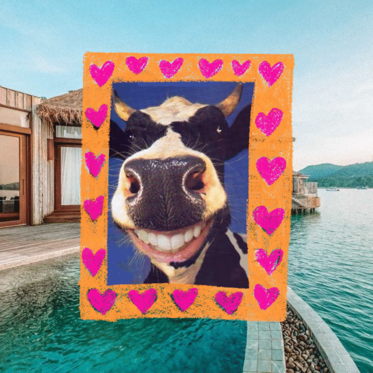 Vaquinha para a Lua de Mel